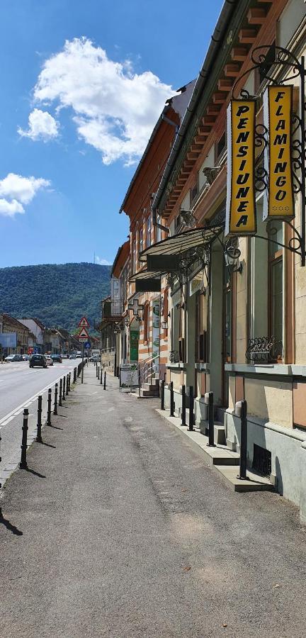 Pension Flamingo Brasov Bagian luar foto