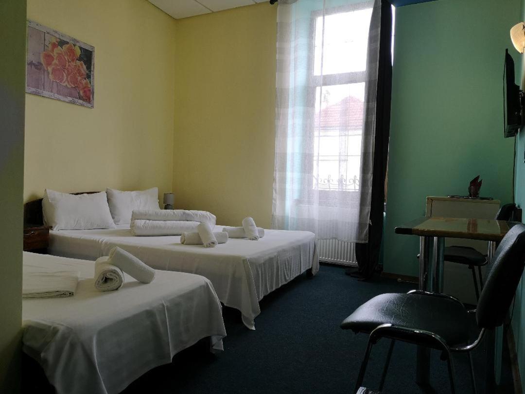 Pension Flamingo Brasov Bagian luar foto