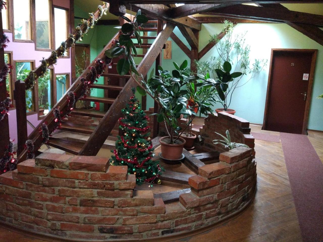 Pension Flamingo Brasov Bagian luar foto